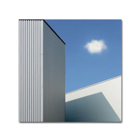 Trademark Fine Art Henk Van Maastricht 'Cloud' Canvas Art, 35x35 1X03265-C3535GG